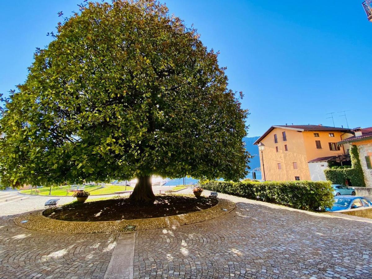 Angelo Loft Villa Tremezzo Bagian luar foto
